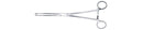 FOERSTER SPONGE FORCEPS 7" CVD SERR